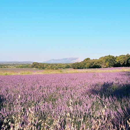 Maison Francoise Panzió Aix-en-Provence Kültér fotó
