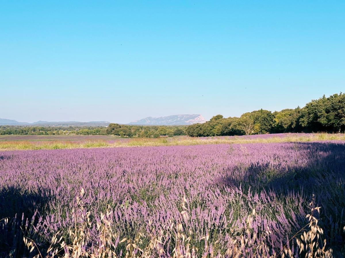 Maison Francoise Panzió Aix-en-Provence Kültér fotó