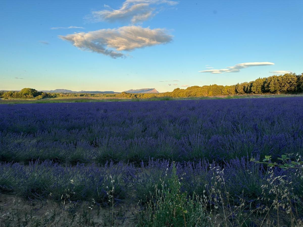 Maison Francoise Panzió Aix-en-Provence Kültér fotó